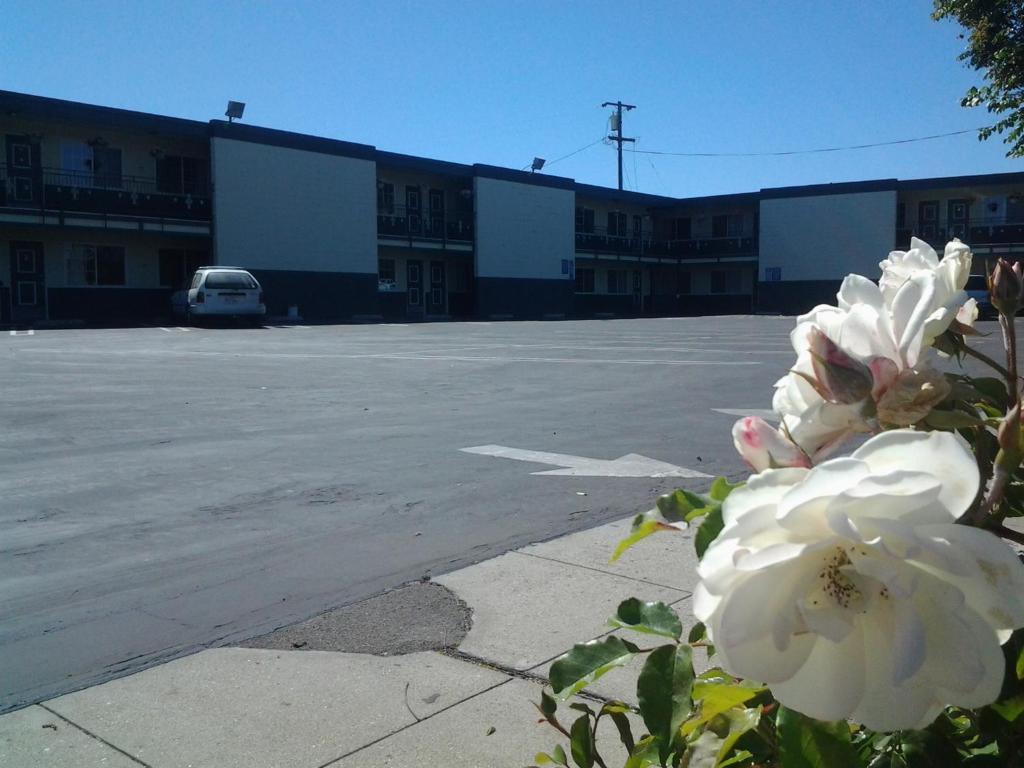 Holiday Motel - Santa Maria Exterior photo